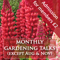 Gardening Talks